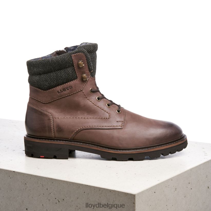 LLOYD flavio Hommes brun 4Z6Z66545 chaussures