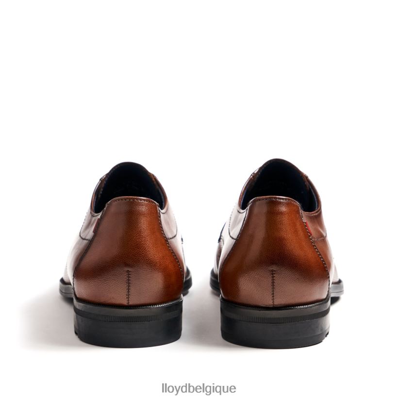 LLOYD folco Hommes brun 4Z6Z6615 chaussures