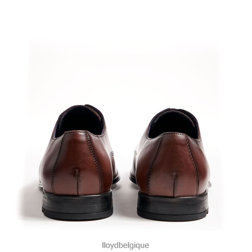 LLOYD fond Hommes brun 4Z6Z6613 chaussures