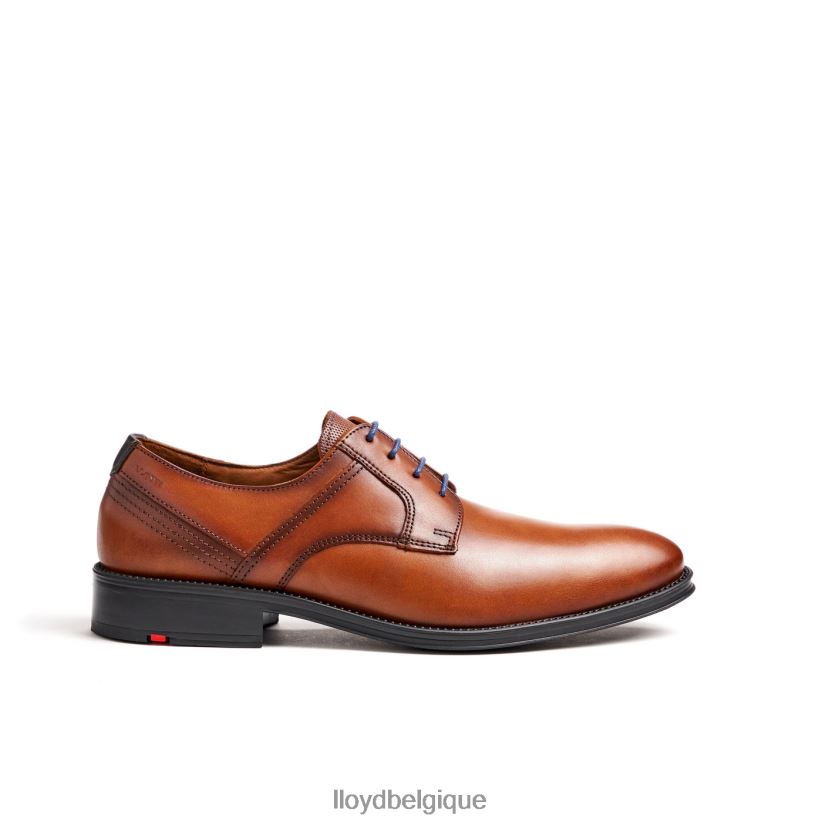 LLOYD gala Hommes brun 4Z6Z66102 chaussures