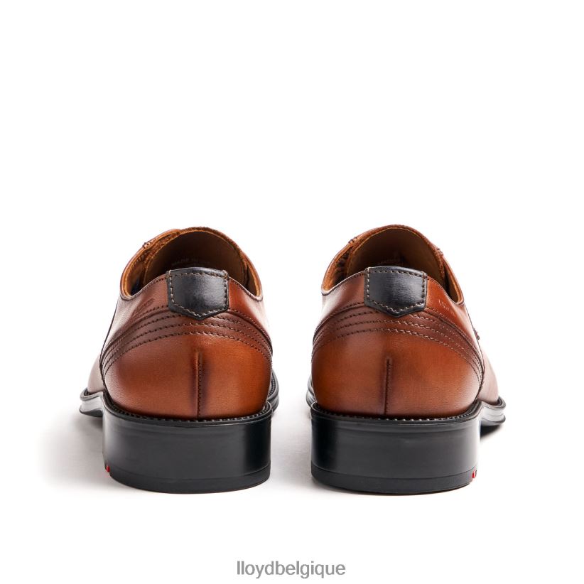 LLOYD gala Hommes brun 4Z6Z66102 chaussures