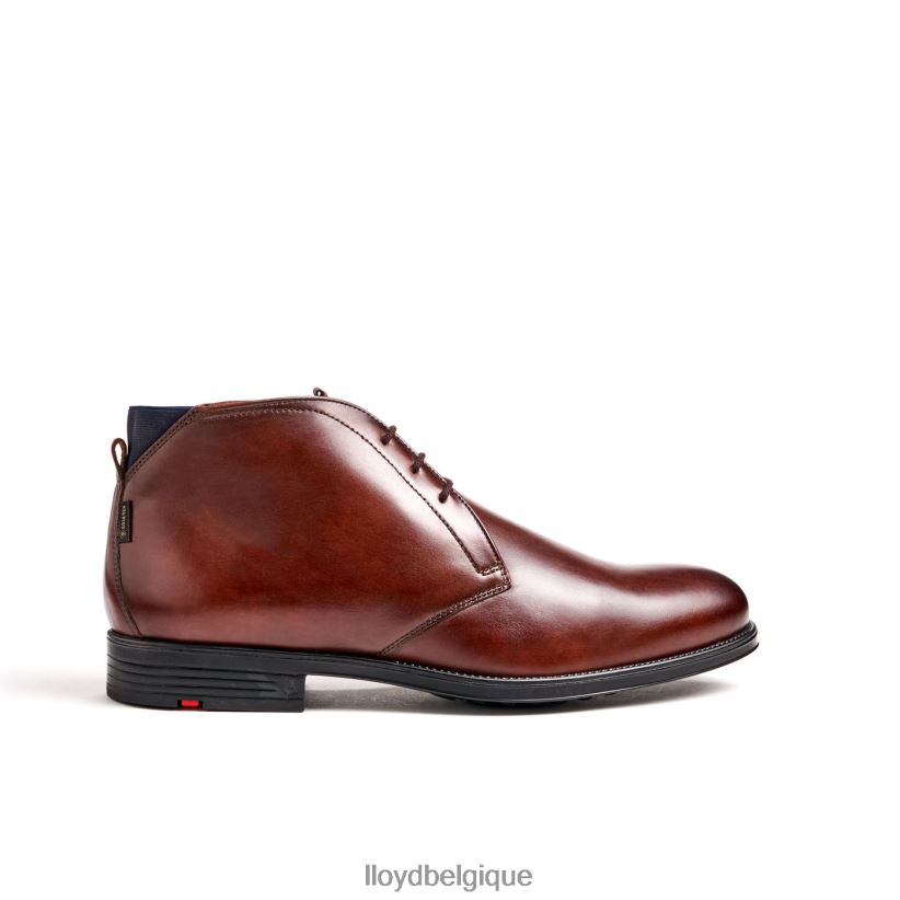 LLOYD girouette Hommes brun 4Z6Z66131 chaussures