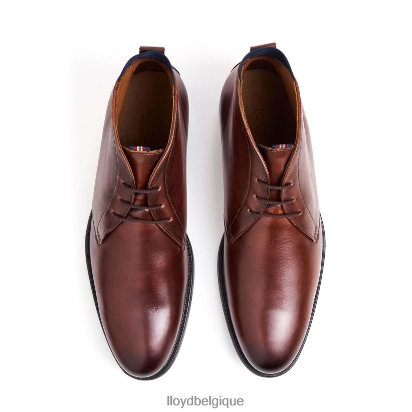 LLOYD girouette Hommes brun 4Z6Z66131 chaussures