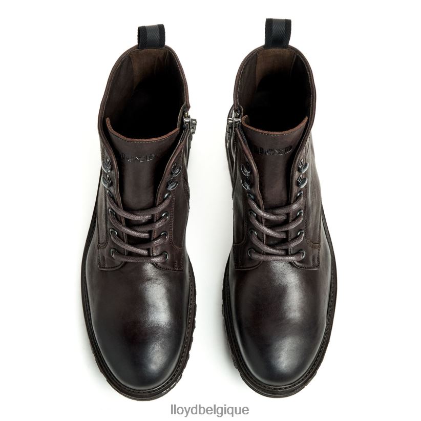 LLOYD halifax Hommes brun 4Z6Z66483 chaussures