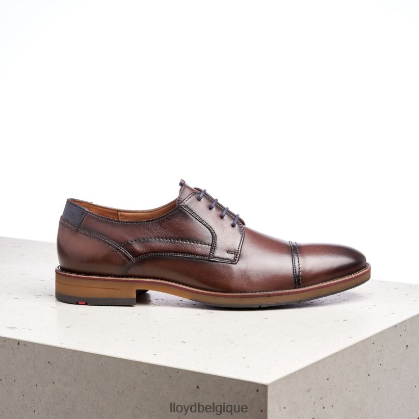 LLOYD harpiste Hommes brun 4Z6Z66176 chaussures