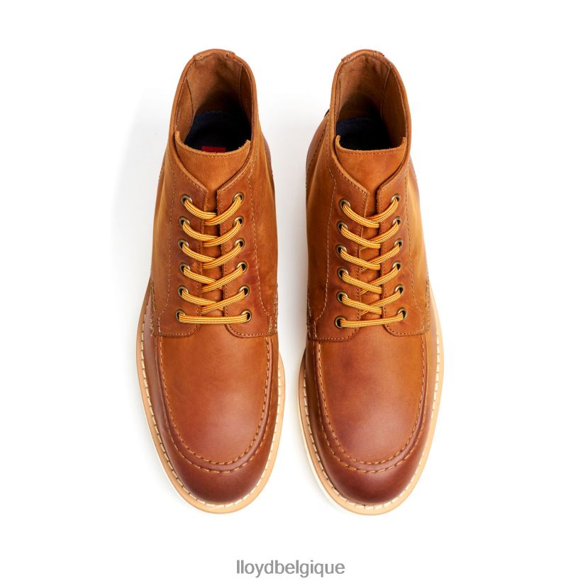 LLOYD interdire Hommes brun 4Z6Z66501 chaussures