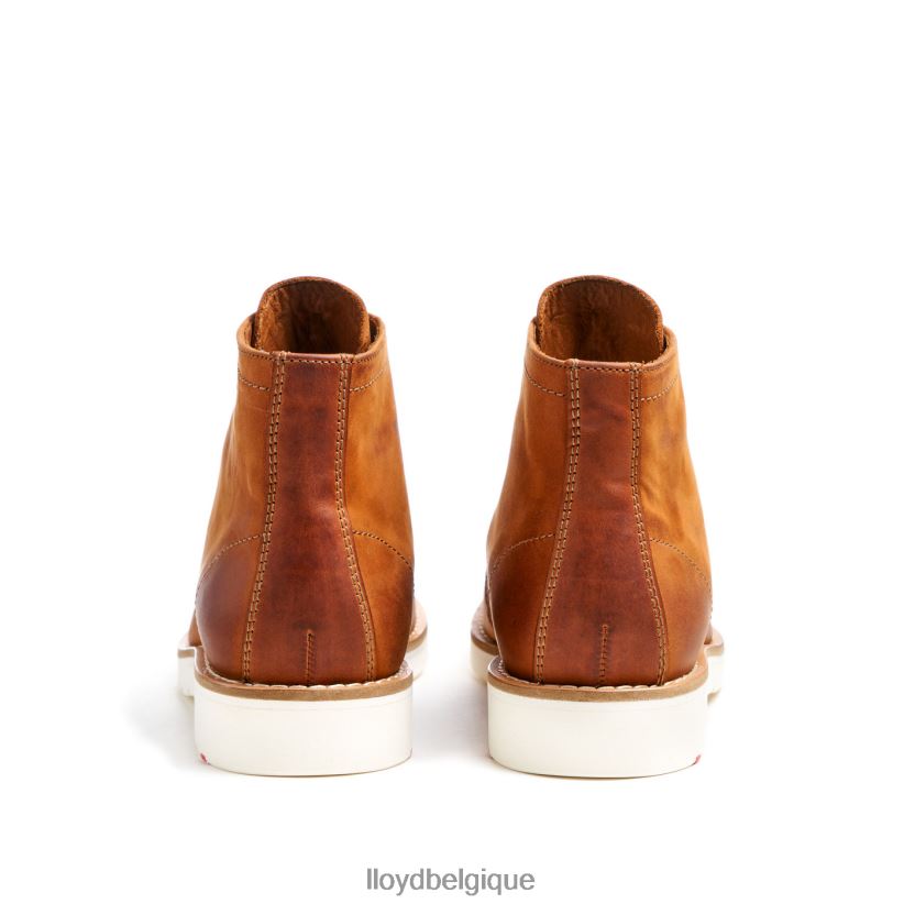 LLOYD interdire Hommes brun 4Z6Z66501 chaussures