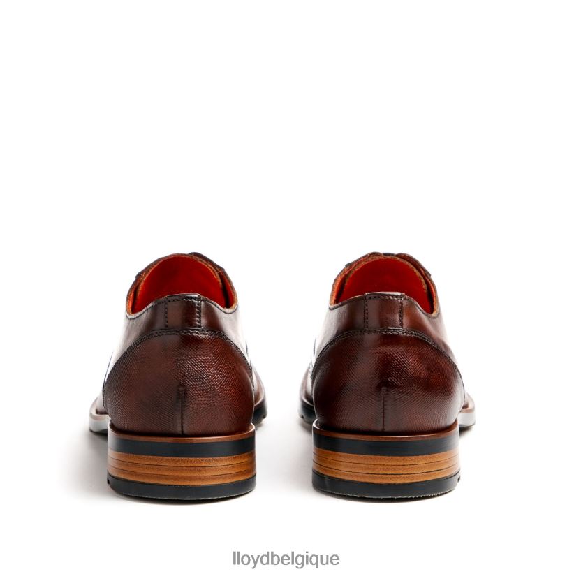 LLOYD jackson Hommes brun 4Z6Z6646 chaussures