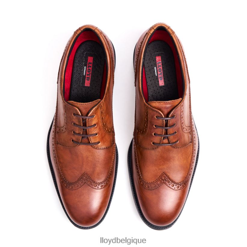 LLOYD kaleb (extra-large) Hommes brun 4Z6Z6620 chaussures