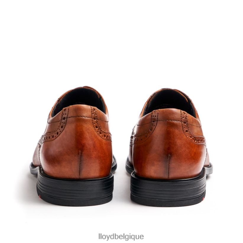 LLOYD kaleb (extra-large) Hommes brun 4Z6Z6620 chaussures