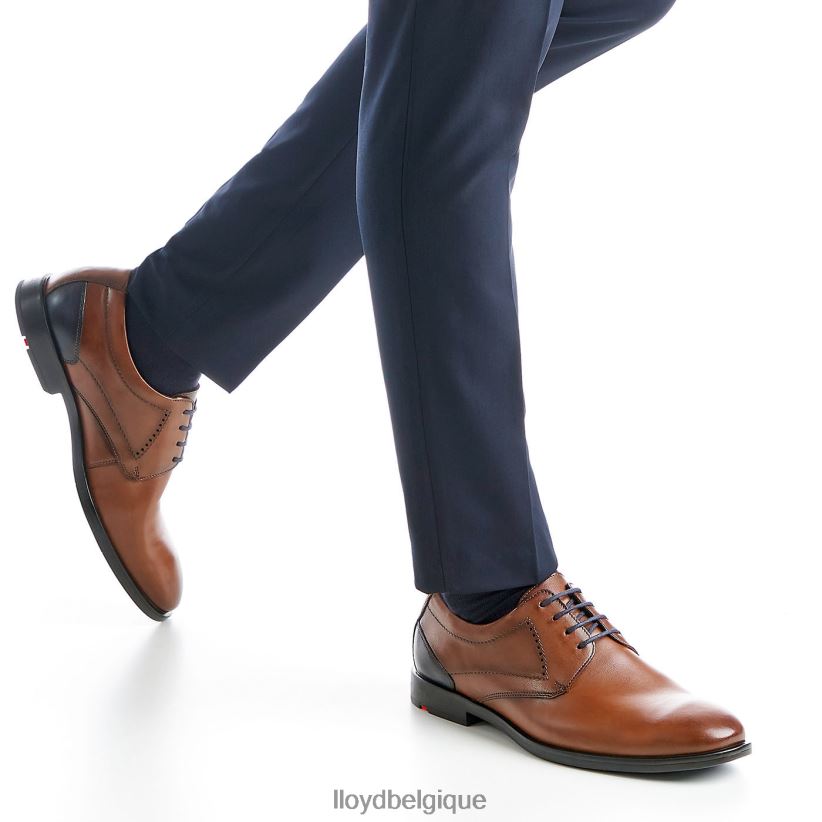 LLOYD kalmar (extra-large) Hommes brun 4Z6Z6694 chaussures