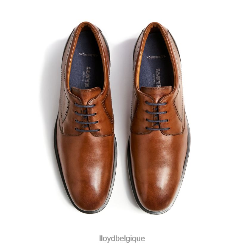 LLOYD kalmar (extra-large) Hommes brun 4Z6Z6694 chaussures