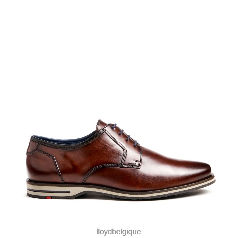 LLOYD kamp (extra-large) Hommes brun 4Z6Z6653 chaussures