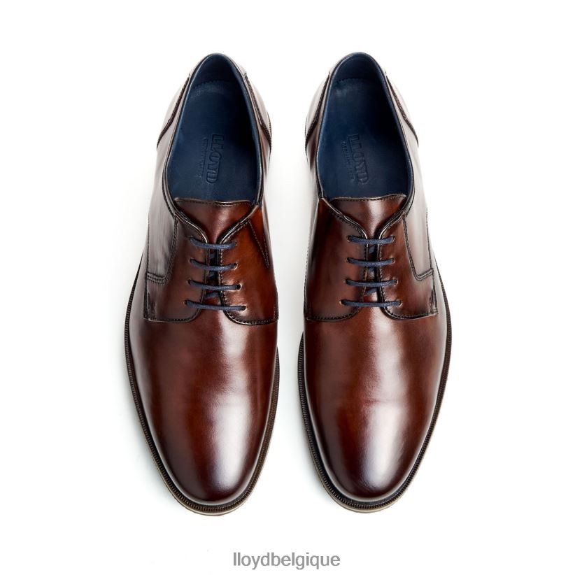 LLOYD kamp (extra-large) Hommes brun 4Z6Z6653 chaussures