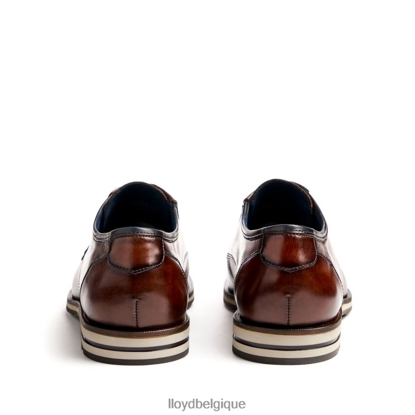 LLOYD kamp (extra-large) Hommes brun 4Z6Z6653 chaussures
