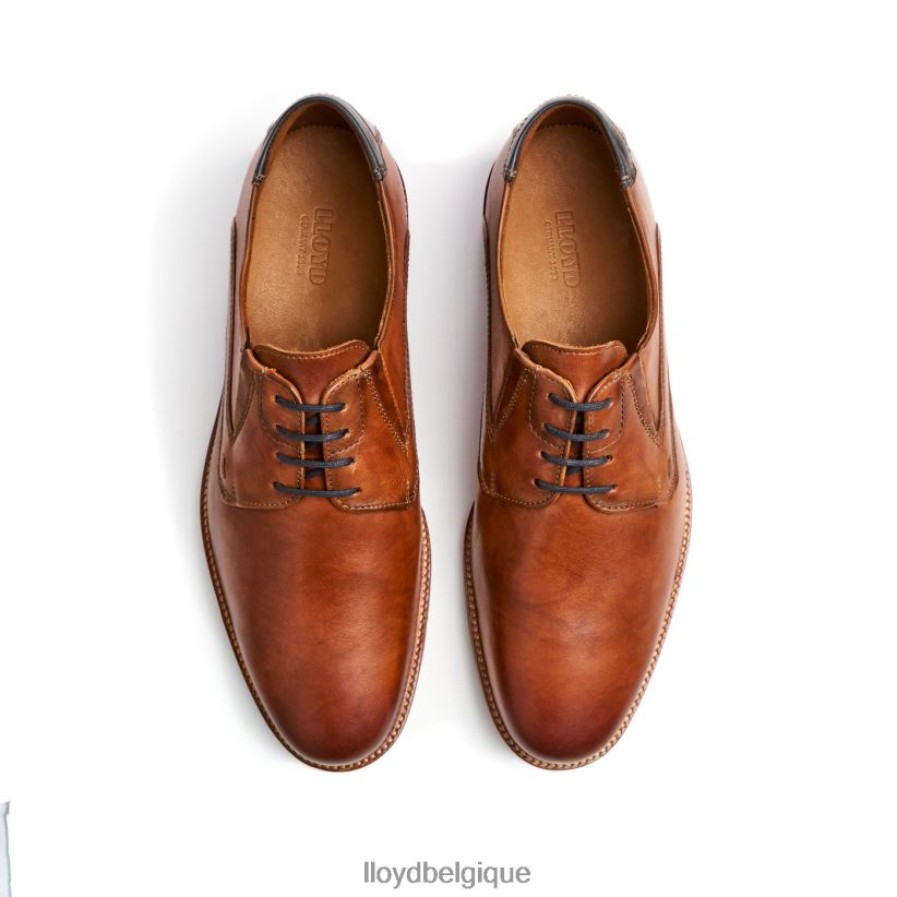 LLOYD kazan (extra-large) Hommes brun 4Z6Z66110 chaussures