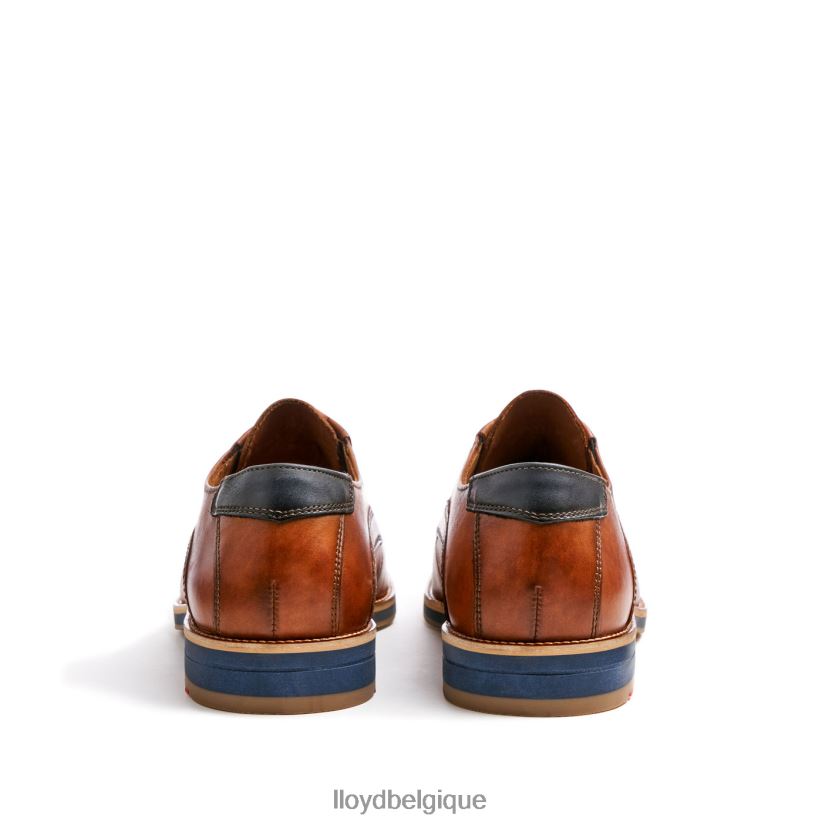 LLOYD kazan (extra-large) Hommes brun 4Z6Z66110 chaussures