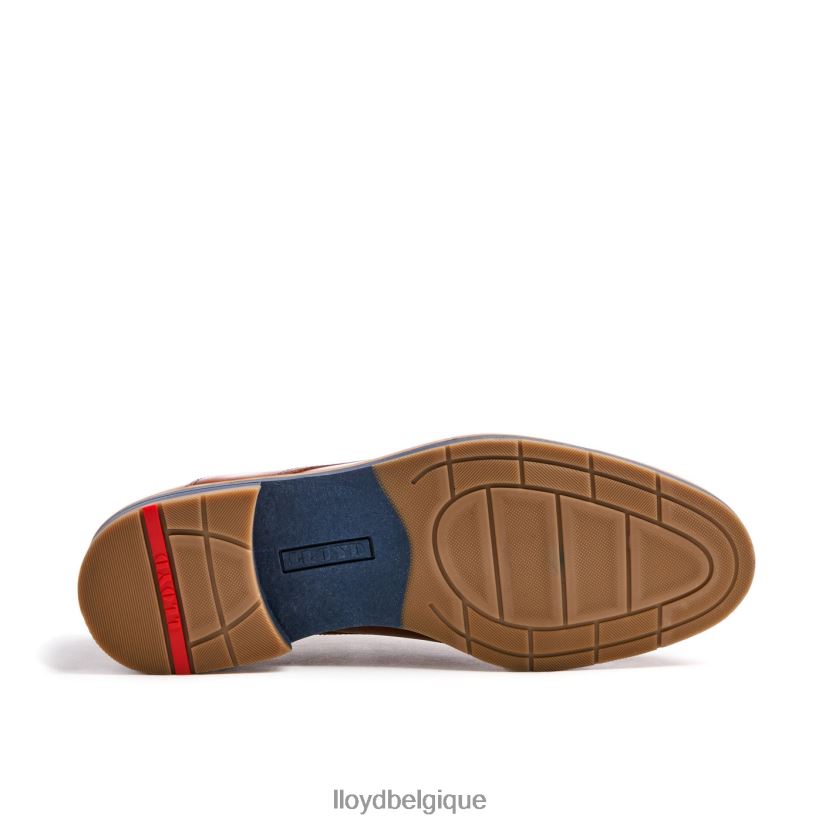 LLOYD kazan (extra-large) Hommes brun 4Z6Z66110 chaussures