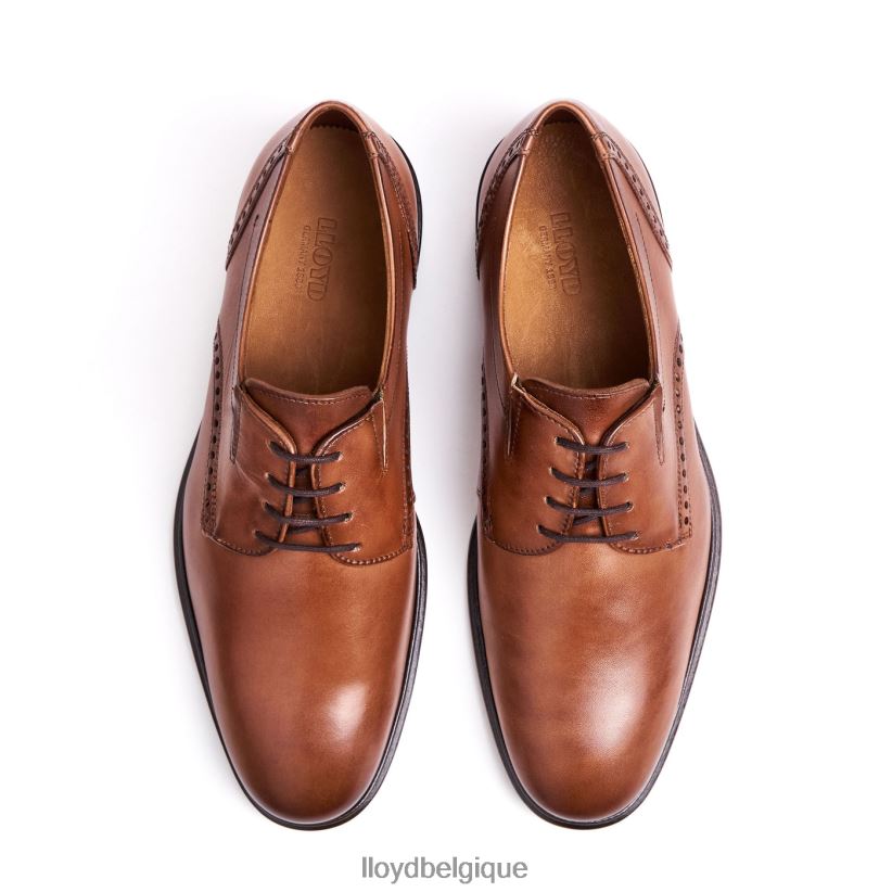 LLOYD koog (extra-large) Hommes brun 4Z6Z6675 chaussures