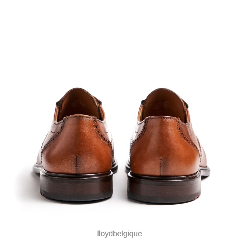 LLOYD koog (extra-large) Hommes brun 4Z6Z6675 chaussures