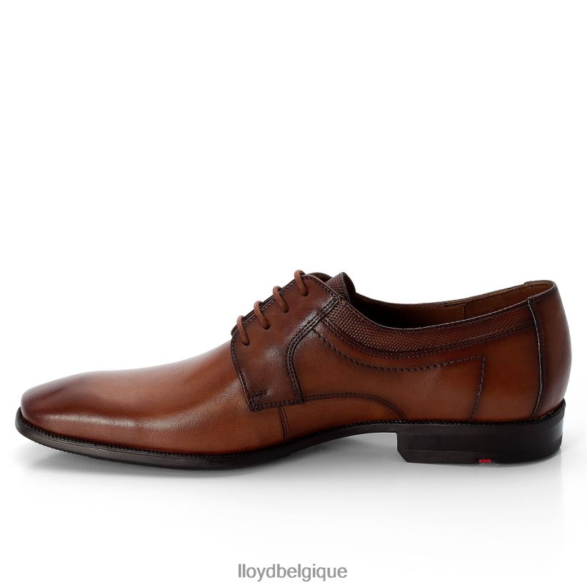LLOYD lacour Hommes brun 4Z6Z6697 chaussures