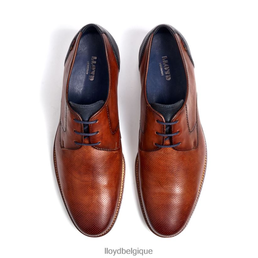 LLOYD lacs Hommes brun 4Z6Z66105 chaussures