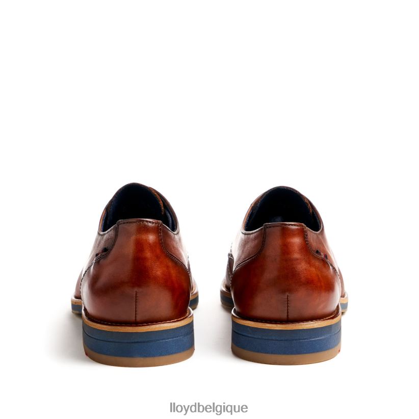 LLOYD laval Hommes brun 4Z6Z6641 chaussures