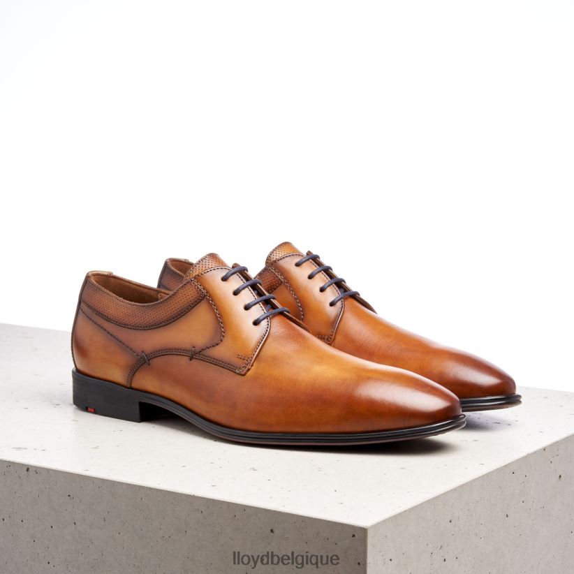 LLOYD madison Hommes brun 4Z6Z66192 chaussures