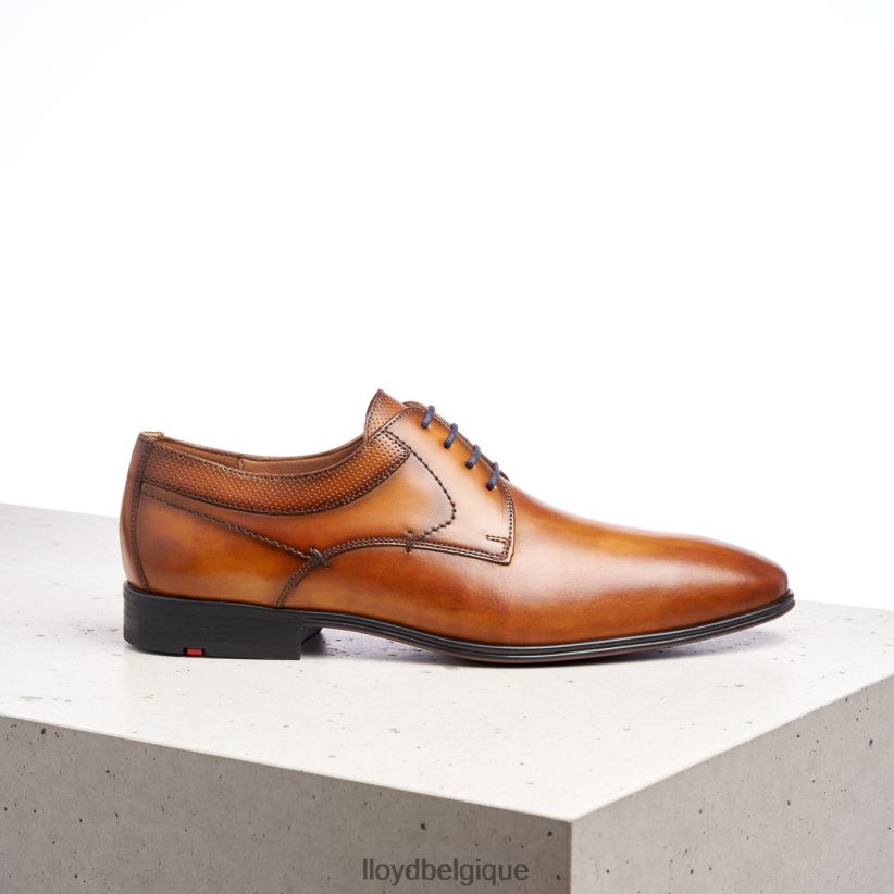 LLOYD madison Hommes brun 4Z6Z66192 chaussures