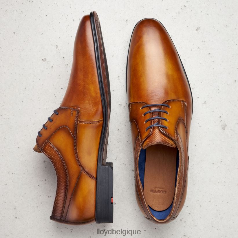 LLOYD madison Hommes brun 4Z6Z66192 chaussures