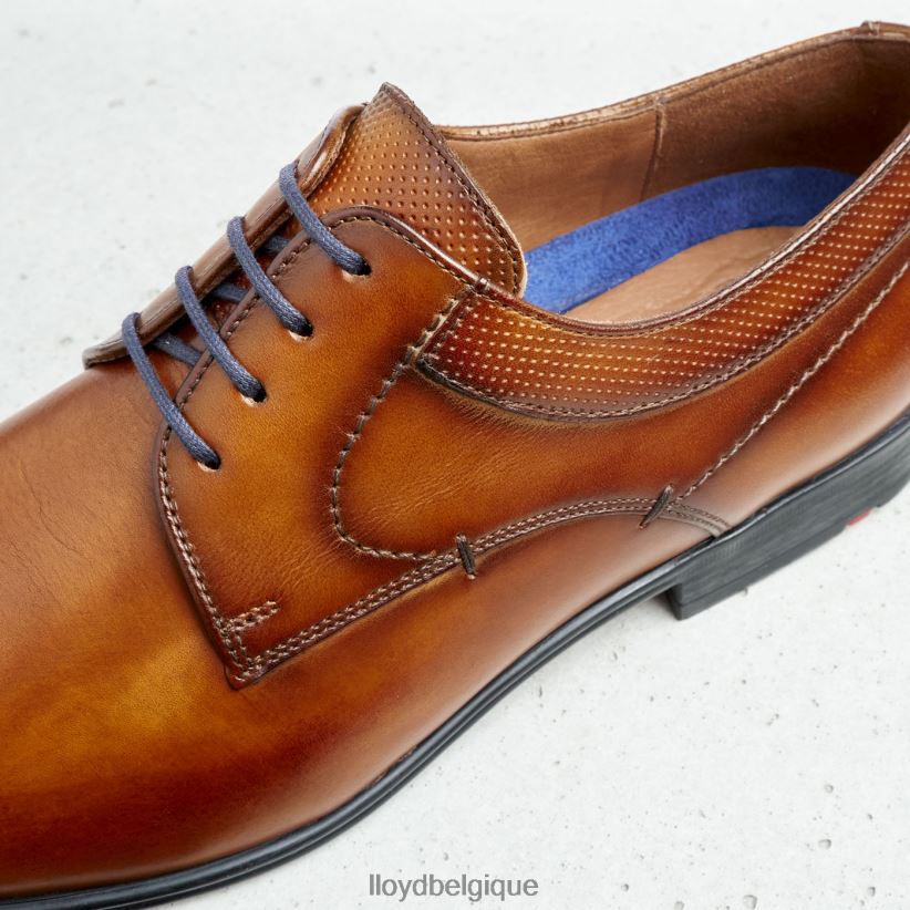 LLOYD madison Hommes brun 4Z6Z66192 chaussures