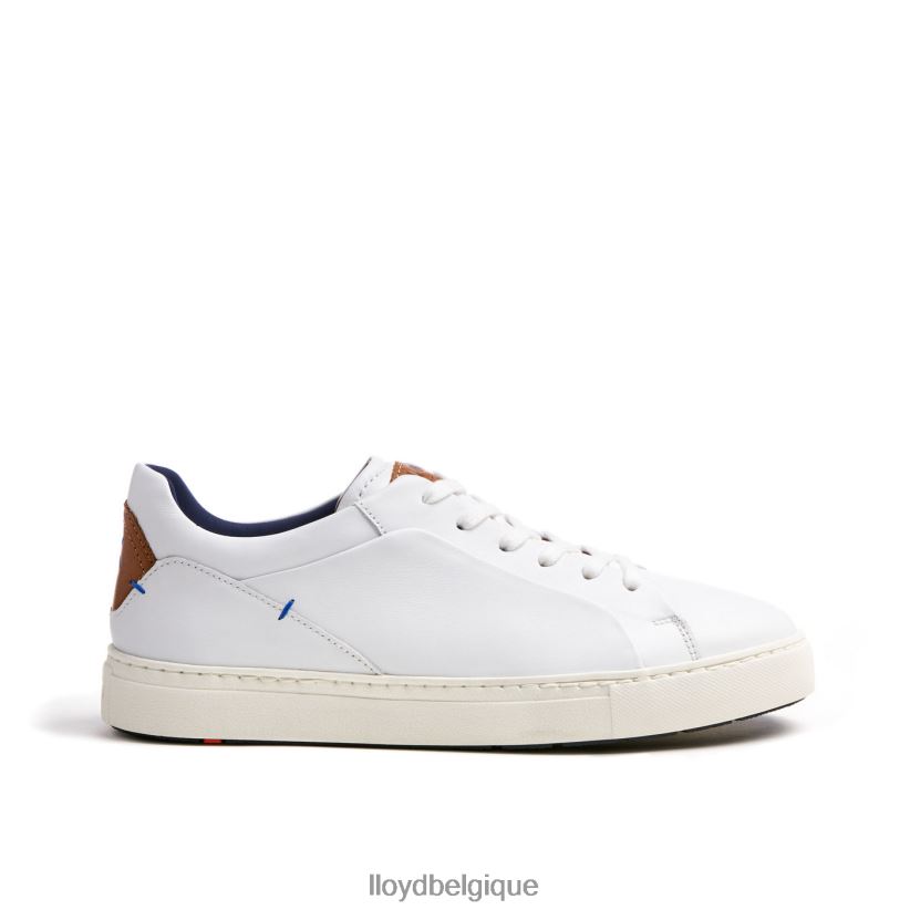 LLOYD majeur Hommes blanc 4Z6Z66256 chaussures