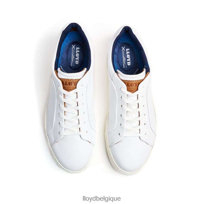 LLOYD majeur Hommes blanc 4Z6Z66256 chaussures