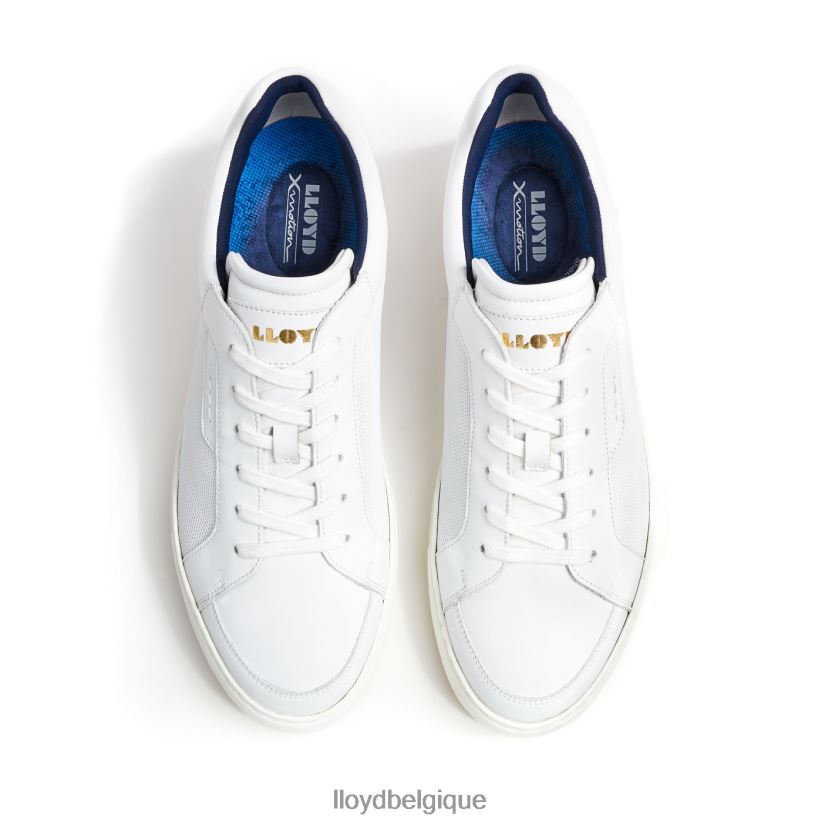 LLOYD malaga Hommes blanc 4Z6Z66276 chaussures