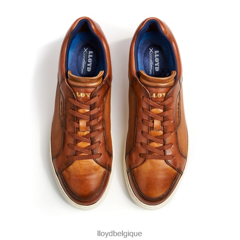 LLOYD malaga Hommes brun 4Z6Z661327 chaussures