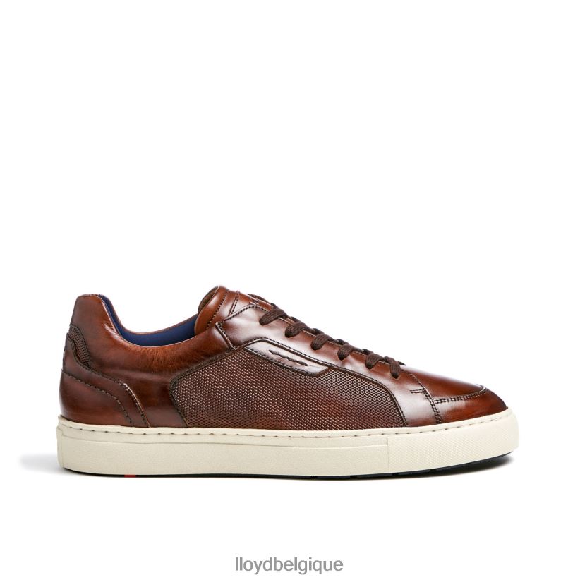 LLOYD malaga Hommes brun 4Z6Z66249 chaussures