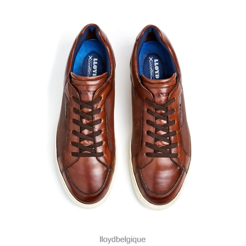 LLOYD malaga Hommes brun 4Z6Z66249 chaussures