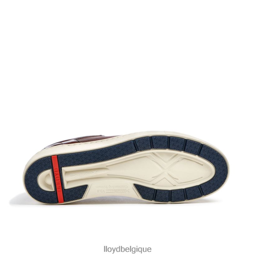 LLOYD malaga Hommes brun 4Z6Z66249 chaussures