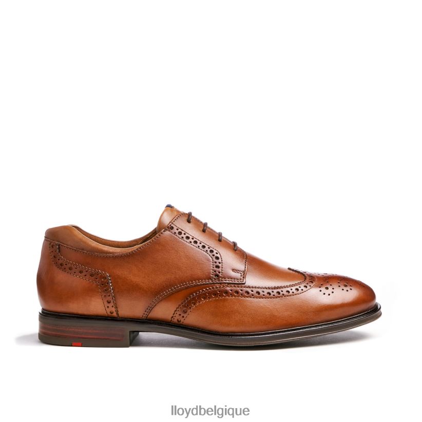 LLOYD mariale Hommes brun 4Z6Z66141 chaussures