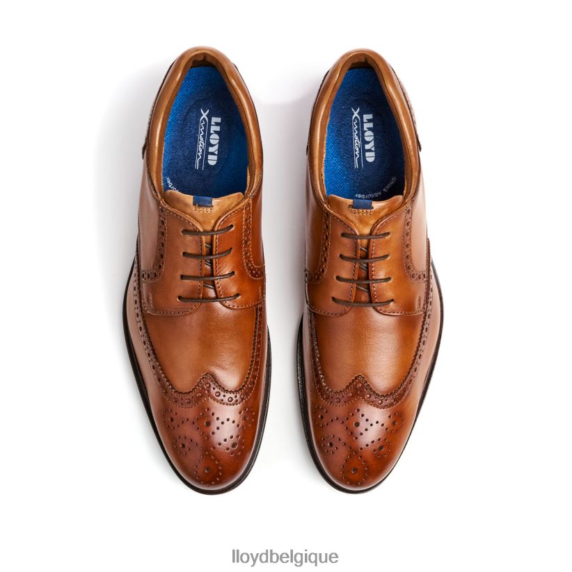 LLOYD mariale Hommes brun 4Z6Z66141 chaussures