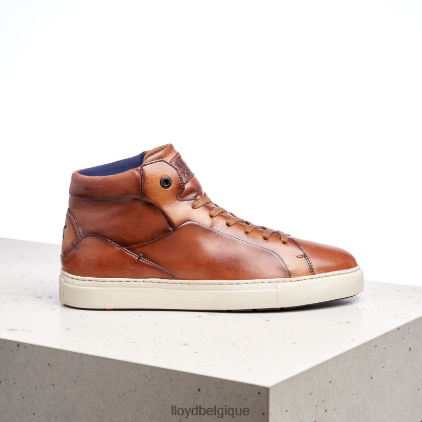 LLOYD maréchal Hommes brun 4Z6Z66254 chaussures