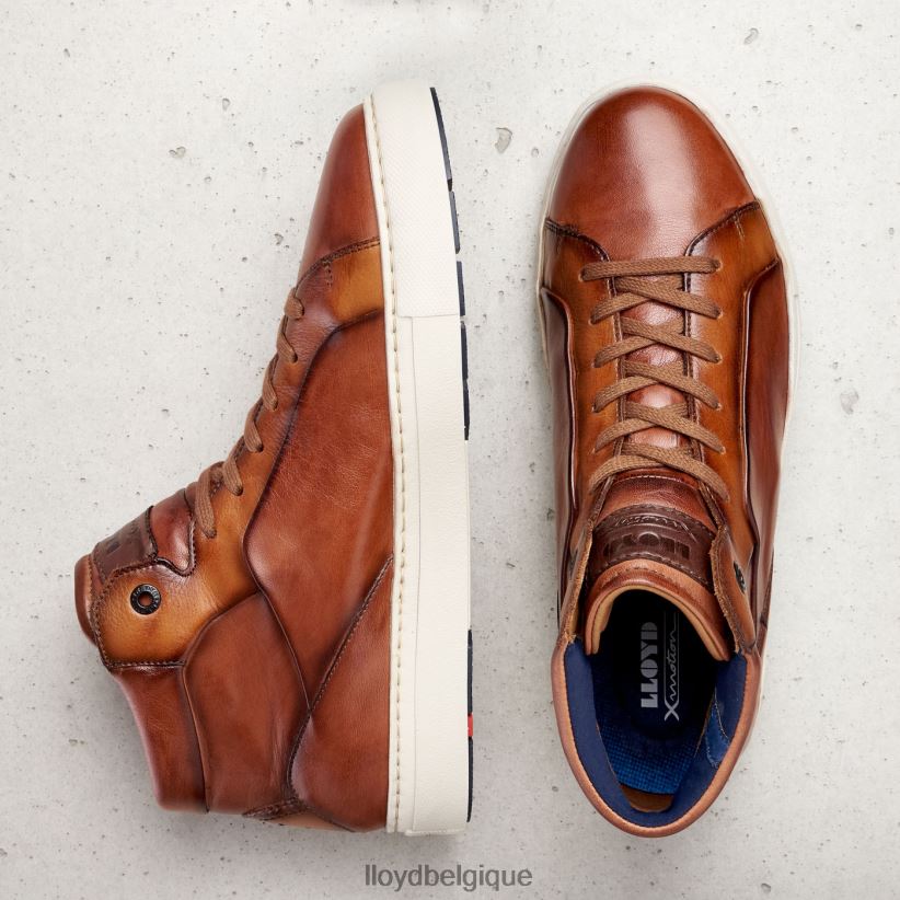 LLOYD maréchal Hommes brun 4Z6Z66254 chaussures