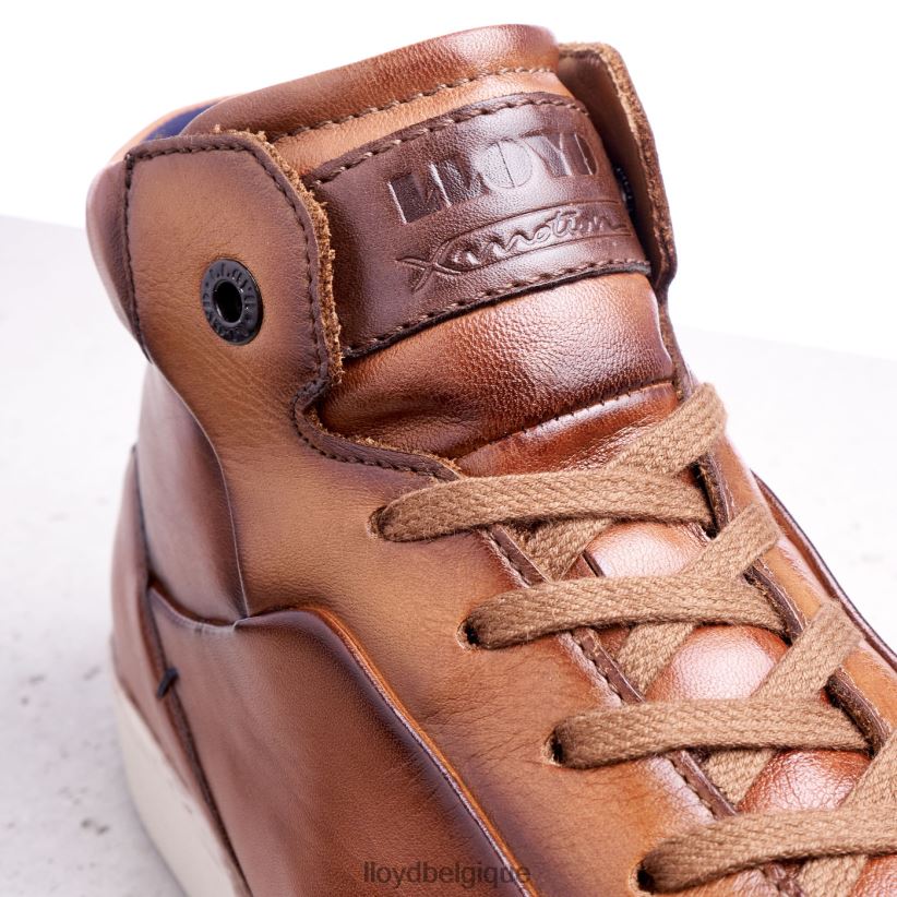 LLOYD maréchal Hommes brun 4Z6Z66254 chaussures