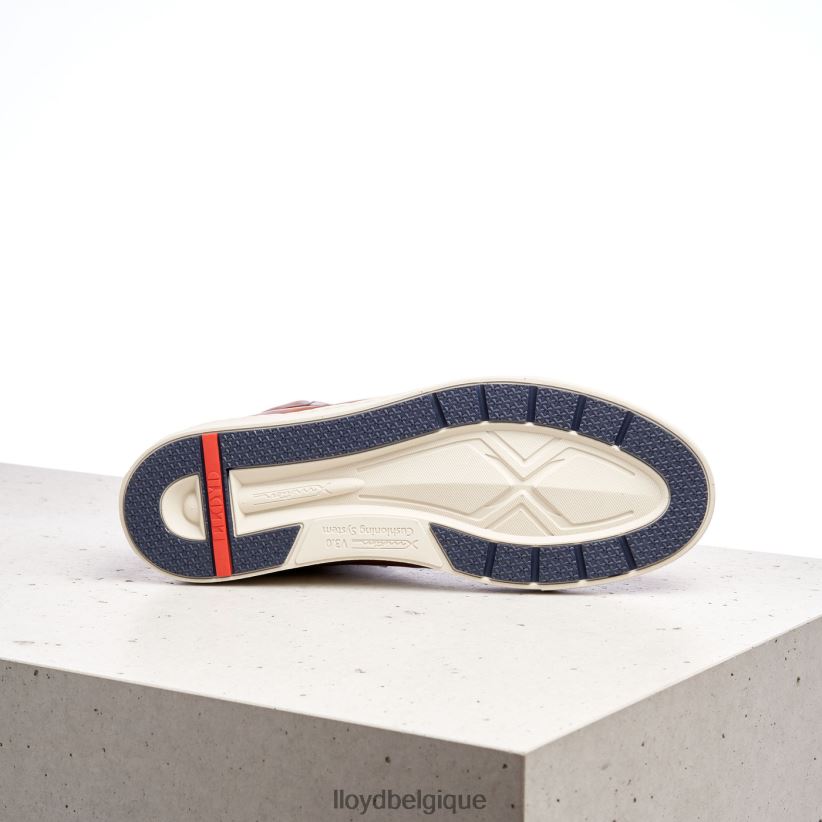 LLOYD maréchal Hommes brun 4Z6Z66254 chaussures