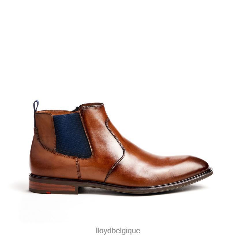 LLOYD matto Hommes brun 4Z6Z6612 chaussures