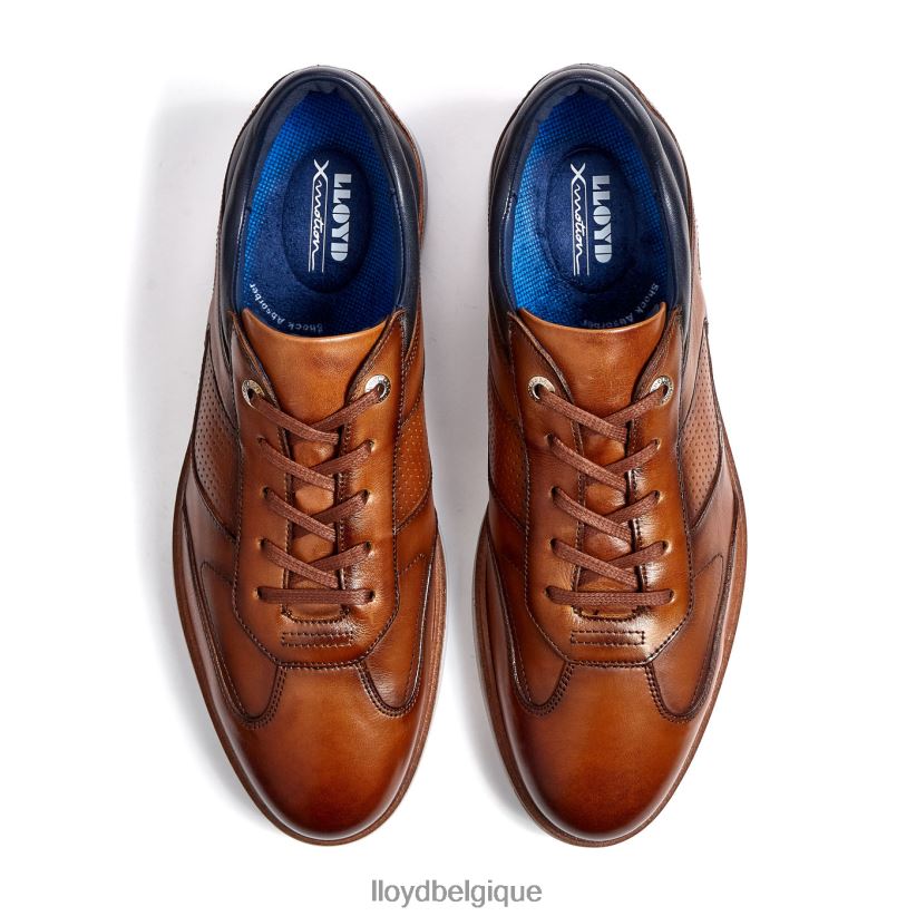 LLOYD maxime Hommes brun 4Z6Z66250 chaussures