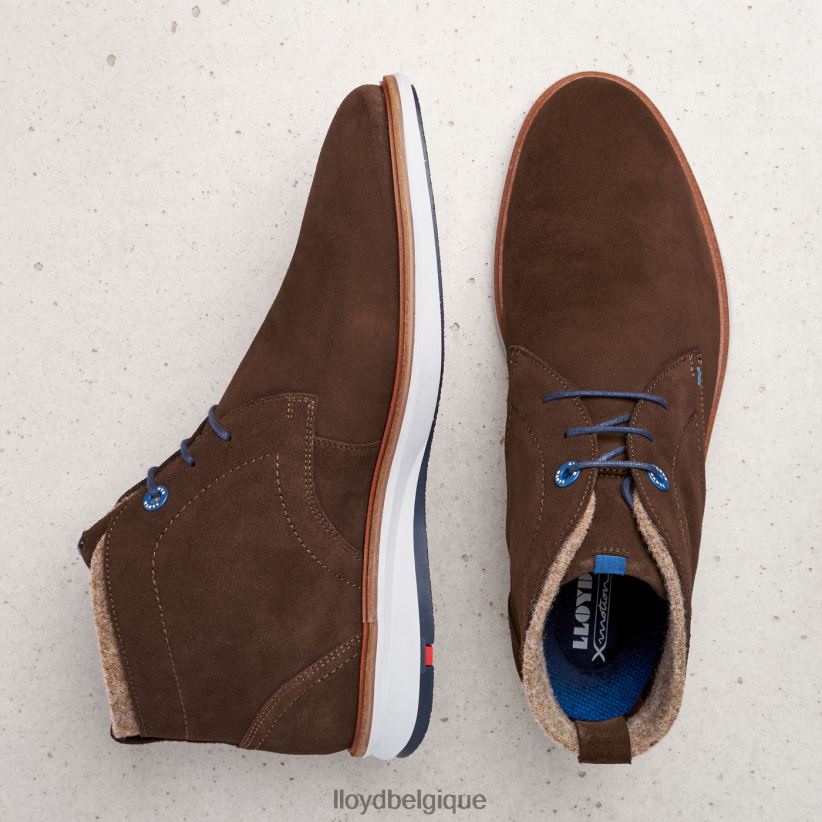 LLOYD maxwell Hommes brun 4Z6Z66270 chaussures