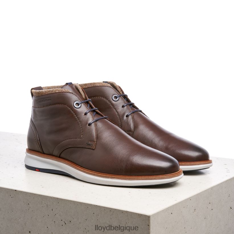LLOYD maxwell Hommes brun 4Z6Z66274 chaussures