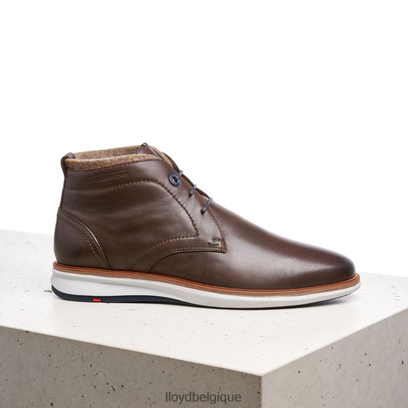LLOYD maxwell Hommes brun 4Z6Z66274 chaussures