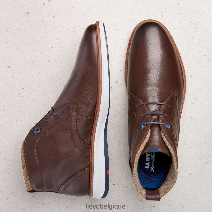 LLOYD maxwell Hommes brun 4Z6Z66274 chaussures